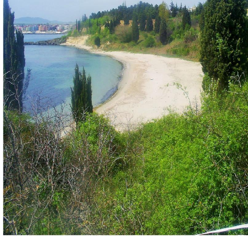 Hotel apartamentowy Chateau Del Marina Complex 2*